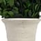 Hello Honey® 17'' Boxwood Cone Topiary in White Clay Pot